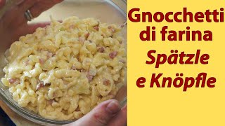 I052 Gnocchetti di farina quotSpätzle e Knöpflequot [upl. by Spenser]