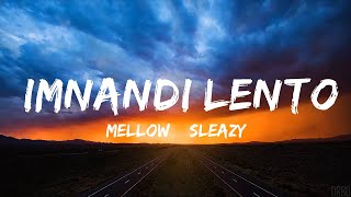 Mellow amp Sleazy x SjavasDeejay x TitoM  Imnandi lento feat Tman Xpress Lyrics  30mins Toni [upl. by Sucramal]