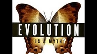 Evolution Can Evolution Be Proven False In 3 Minutes [upl. by Lyontine]