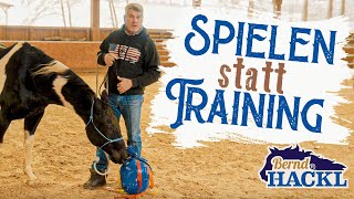 Spielen statt Training  Bernd Hackl erklärt 🐴 [upl. by Semele]