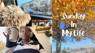 Weekend VLOG  purging my closet  🐶 Dog Mom Duties amp Fried Hotdogs 🌭 [upl. by Amadeo]