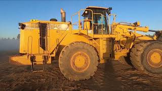 Caterpillar 988H Loader with Forks [upl. by Lasonde]