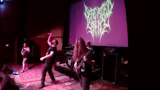 Defeated Sanity Live at Haltom Theater 322022 [upl. by Eerol990]