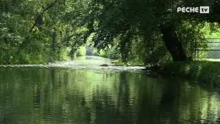 Globe fishing Reportage Pêche à la mouche dans le PasdeCalais [upl. by Giffie906]