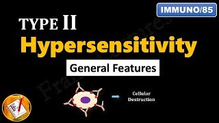 Type II Hypersensitivity Reactions PART 1  General Features FLImmuno85 [upl. by Frederick]