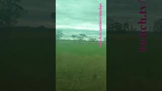 VLINE Southern Cross To Warrnambool 141223 victoria shorts shortvideo train travel views [upl. by Aronael]