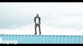 Zlatan Ibile  Zlatan Official Video [upl. by Maclean27]