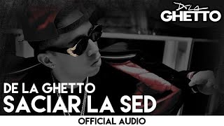 De La Ghetto  Saciar La Sed Official Audio [upl. by Meehahs]