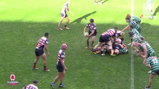 2016 IDRU 1st Grade Grand Final Highlights  Woonona Shamrocks Vs University [upl. by Airreis]