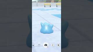 Get Shiny 6IV Japanese Ditto NOW in Pokemon Scarlet Violet pokemon [upl. by Waldos]