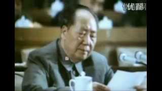 Mao Zedongs Speech at the 9th National Congress of the Communist Party of China [upl. by Ahouh]