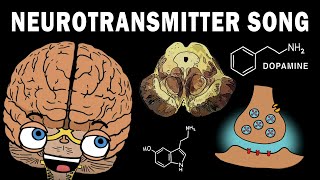 THE NEUROTRANSMITTER SONG [upl. by Nayra]