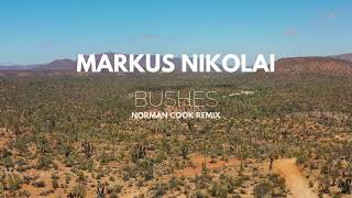 Markus Nikolai  Bushes Norman Cook Remix [upl. by Nomit]