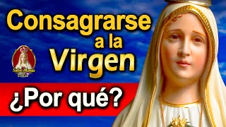 🎙️ ¿Consagración a la Virgen María  Podcast Salve María Episodio 47 [upl. by Fayette]