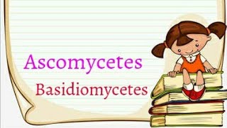 Ascomycetes basidiomycetes  tricks for NEET  tricks for 2020  Fungi tricks [upl. by Bethezel]