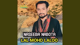 Naseeba Nabota [upl. by Prent646]