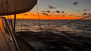 Final leg from Fiji to Australia of Jeannes solo sail across the Pacific [upl. by Acireh337]