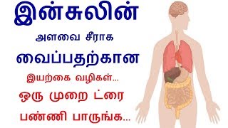 Insulin Resistance Symptoms  Causes and Home Remedies in tamil  Rahul Diabetes Health tips [upl. by Ielhsa]