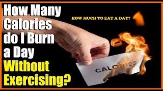 How Many Calories to Eat A Day for Losing Weight and how much you need to burn [upl. by Bay810]