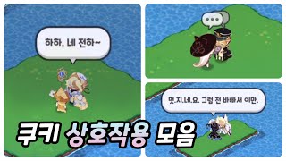 새로운 쿠키 상호작용 24종 모음 쿠키런 킹덤 [upl. by Onia]