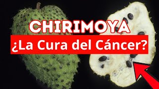 Chirimoya ¿Fruta Contra el Cáncer [upl. by Odlabso49]