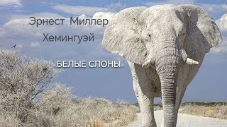 Аудиокнига  Эрнест Миллер Хемингуэй quotБелые слоныquot [upl. by Enymzaj]