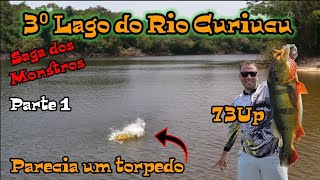 Lagos do Rio Curuicu Nunca peguei tanto gigante num lago [upl. by Eceertal555]