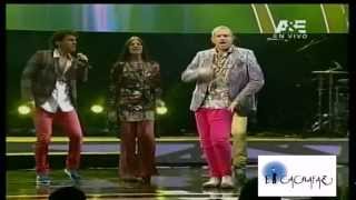 Miguel Bose en Viña 2013 COMPLETO HQ HD Parte 1 de 5 [upl. by Zaneski]