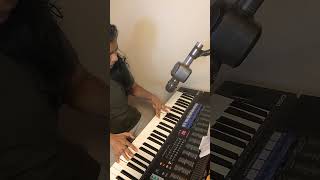 Passacagliapiano cover  1st 3 lines medium tempo with pedal [upl. by Kwabena]