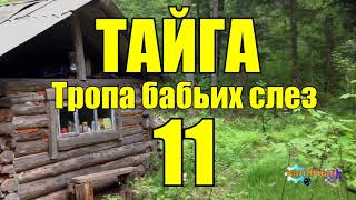 ОТШЕЛЬНИКИ  ЖИЗНЬ В ТАЙГЕ 11 из 16 [upl. by Conley]