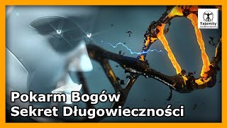 Pokarm Bogów  Sekret Długowieczności [upl. by Ambrosane177]