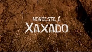 Nordeste é Xaxado [upl. by Ynes]