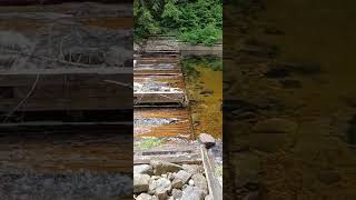 Schroon river fish ladder for counting the salmon run [upl. by Etteniuqna]