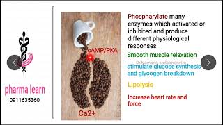 Basic pharmacology 3 [upl. by Woody]