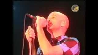 REM  She Just Wants To Be Live Köln 2001 [upl. by Tavey]