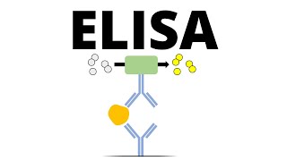 ELISA Enzymelinked Immunosorbent Assay [upl. by Tosch626]