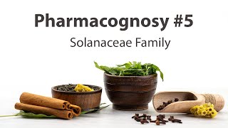 5 Solanaceae Family  Pharmacognosy [upl. by Corron418]