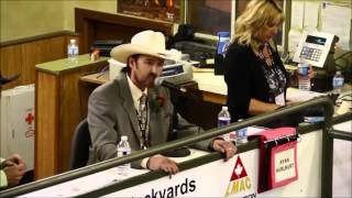 The Best Auctioneer  Rhett Parks [upl. by Leandre339]