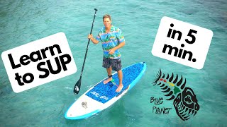 Learn to SUP in 5 minutes How to Stand Up Paddleboard for beginners [upl. by Garzon516]