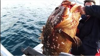 JIGGING7 grouper ΡΟΦΟΣ ΕΝΑ ΨΑΡΙ ΠΟΛΥ ΜΕΓΑΛΟ sotos fishingwmv [upl. by Rae]