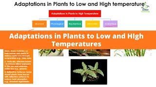 Adaptations in Plants to Low and High Temperature  Thermoregulations  Homeostasis [upl. by Packston19]