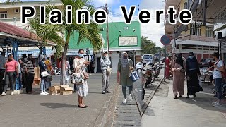 Plaine Verte Walking Tour  Mauritius island 🏝️ [upl. by Tami]