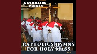 Catholics Hymns for holy mass Vol 1 [upl. by Dorcia]