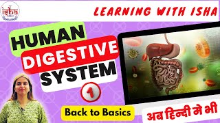 Human Digestive system Part1 V1 Class 10 Biology Class 10 Science [upl. by Bernardine]