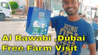 Al Rawabi Dairy Farm Visit l Al Khawaneej l Dubai [upl. by Noremac]