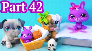 LPS Hospital Visit With Gifts  Mommies Part 42 Littlest Pet Shop Series LPS Mom Babies REUPLOAD [upl. by Sudderth230]