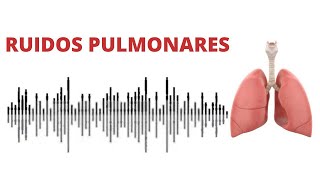 AUSCULTACIÓN PULMONAR ruidos normales y anormales [upl. by Jemena]