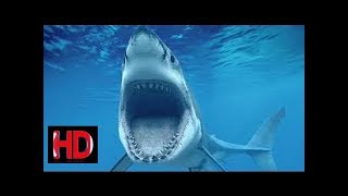 Evolution of Jaws HD Documentary 2017 [upl. by Yrian]