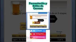 Tipos de fermentación y estilos de cerveza  Fermentación [upl. by Talya974]