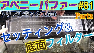 【アベニーパファー】81トリプルボックス600のセッティング [upl. by Ecitsuj]